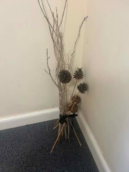 Photo of free Vase decorations (Weston) #1