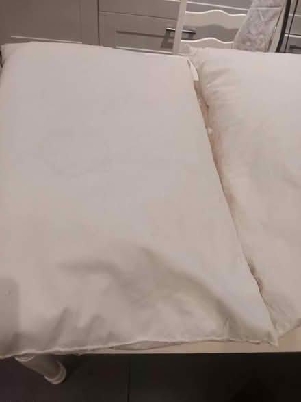 Photo of free 2 feather pillows (Fords Farm RG30) #1