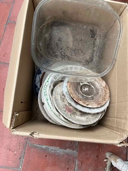 Photo of free Bowls & plates for gardening use (Ealing London) #2