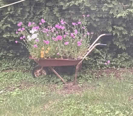 Photo of free rustic wheelbarrow (Ambler) #1