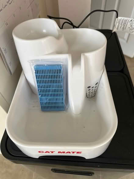Photo of free Cat Water Fountain (Bury PE26) #1
