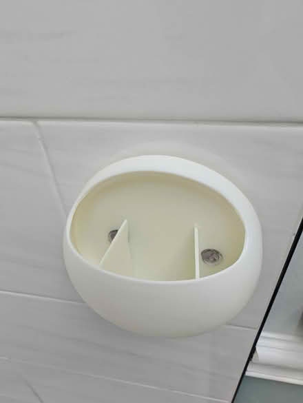 Photo of free Toothbrush holder (Primos) #2