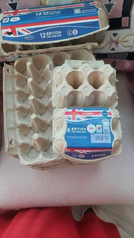 Photo of free Egg boxes (Trentham Stoke-on-Trent ST4) #4