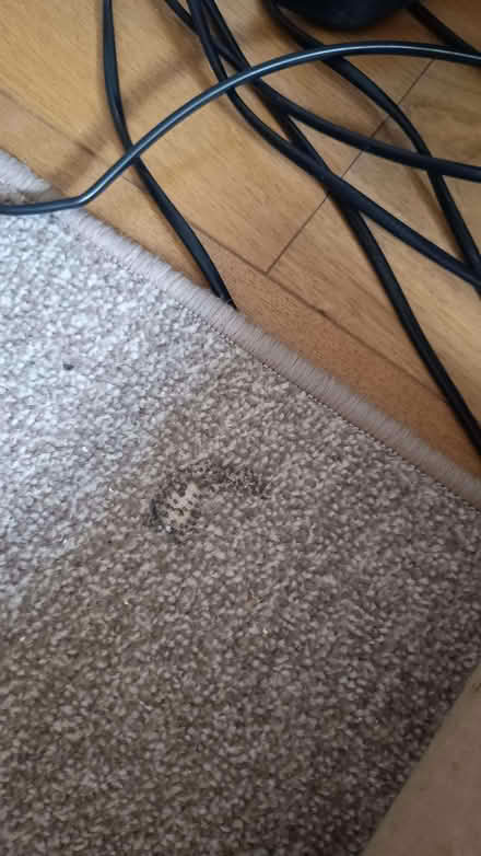 Photo of free Hall runner (Little Ilford E12) #1