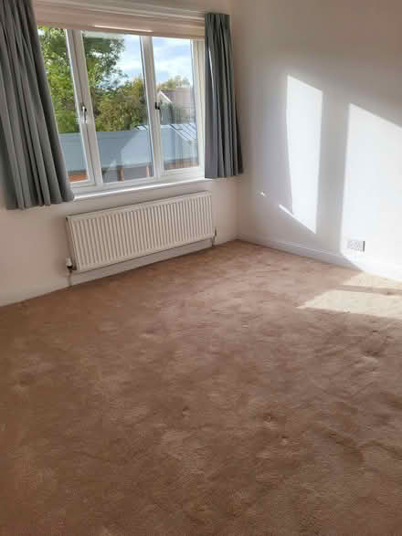 Photo of free Beige carpet (Kingsway) #1