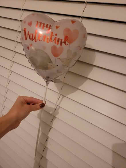 Photo of free Balloon (Bridge of Allan FK9) #1