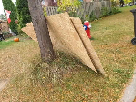 Photo of free Sheets of plywood (Mississauga Ontario Canada) #1