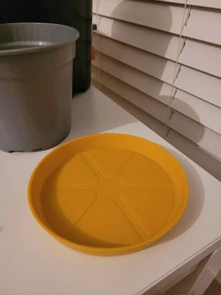 Photo of free Plant pots and saucer (Bridge of Allan FK9) #2