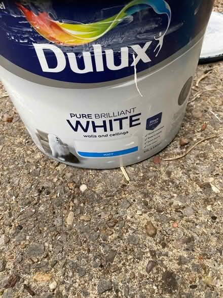 Photo of free Wall and ceilingPaint white (Stacey Bank S6) #1