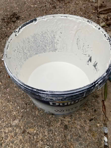 Photo of free Wall and ceilingPaint white (Stacey Bank S6) #2