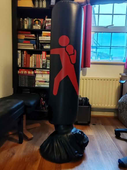 Photo of free Kids Punch bag (Co4) #1