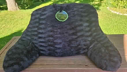 Photo of free Bedrest Lounger (Farmington Hills) #1