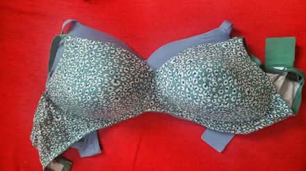 Photo of free 2x 40DD bras (Southend, SS1) #1