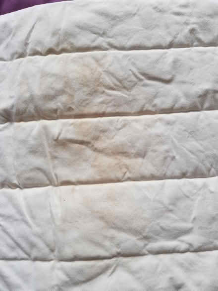 Photo of free IKEA Poang Chair Cover (North Abingdon, OX14) #3