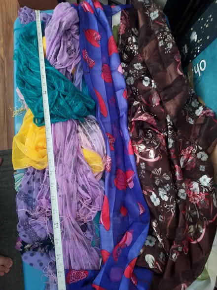 Photo of free scarves (little ferry) #3
