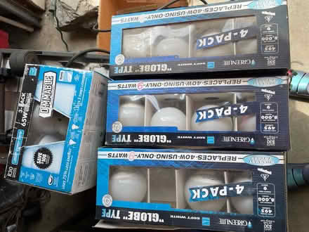 Photo of free Light bulbs (Washington Park) #1