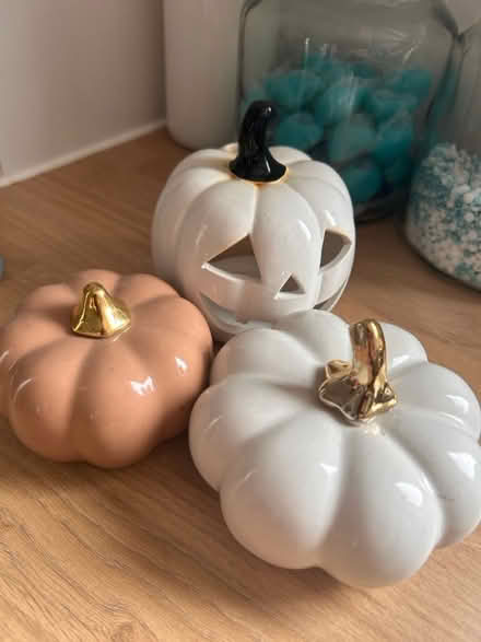 Photo of free Autumn decor (TN24) #1