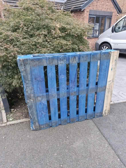 Photo of free Pallet (Branston DE14) #1