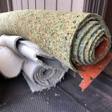 Photo of free Carpet (Near Zoo) #2