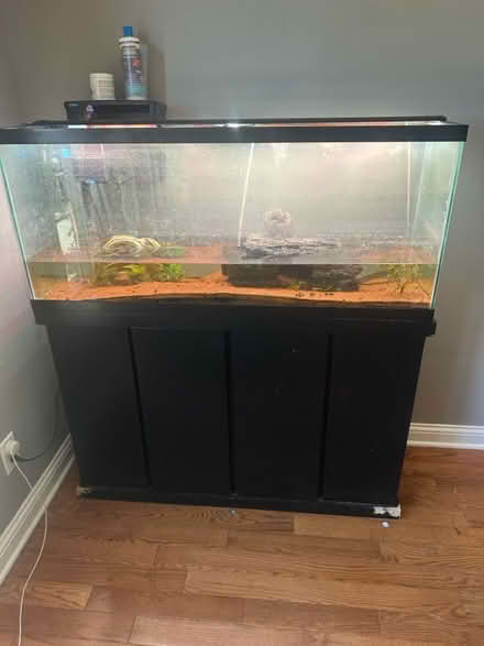 Photo of free Fish tank with a few fish (Karns) #2
