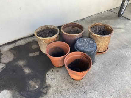 Photo of free various plant pots (bet Hodencamp & Hillcrest) #1