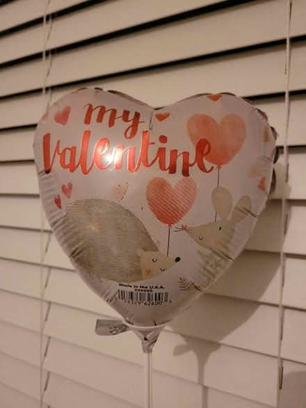 Photo of free Balloon (Bridge of Allan FK9) #3