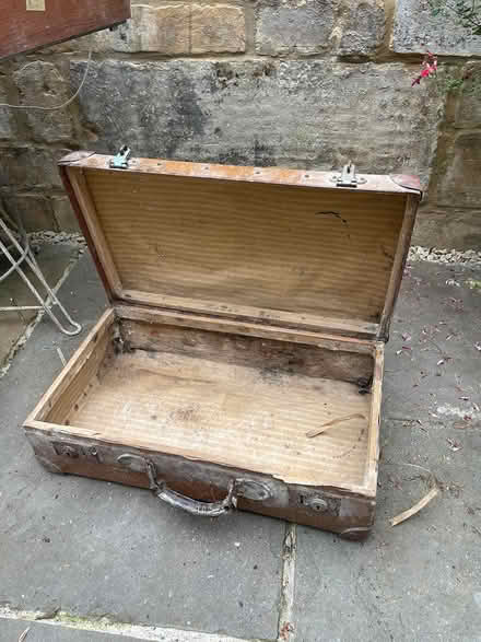 Photo of free Vintage snake skin suitcase (Larkhall, Bath) #2