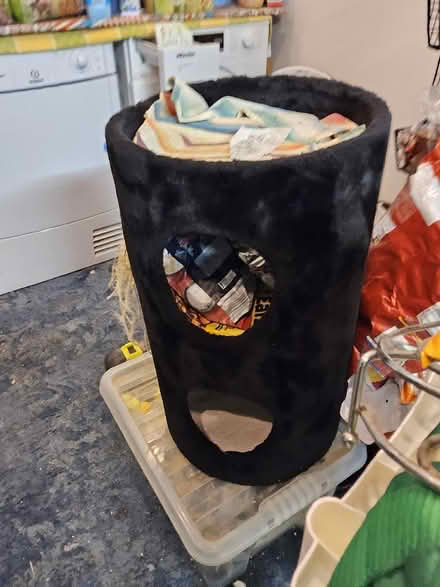 Photo of free Cat bed and Scratching Barrel (Putnoe MK41) #3
