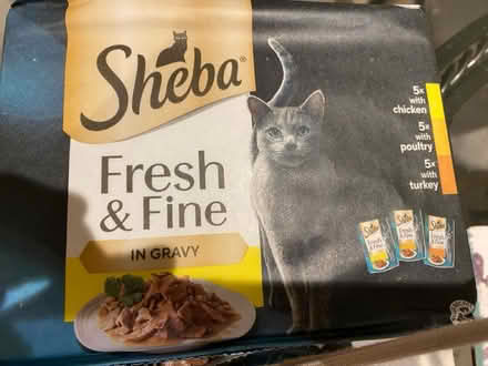 Photo of free Assorted cat food and treats (Arundel BN18) #1