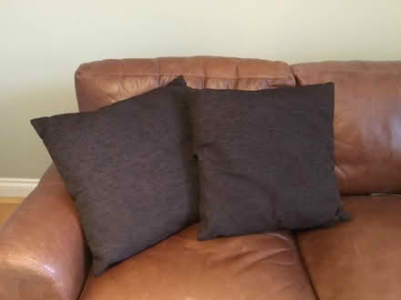 Photo of free Cushions (Berkhamsted HP4) #3