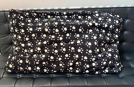 Photo of free Dog Bed c4’ x 2’ Attractive design (Cobham, Surrey KT11) #1