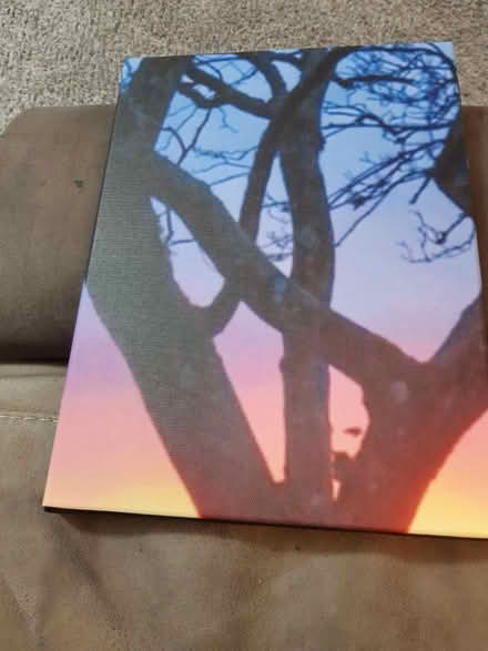 Photo of free Canvas (Poole/Oakdale BH15) #1