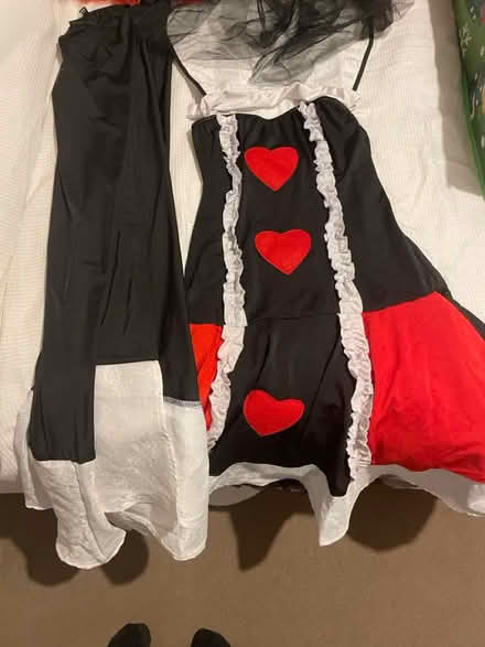 Photo of free Women’s Halloween costume (Witton Gilbert DH7) #1