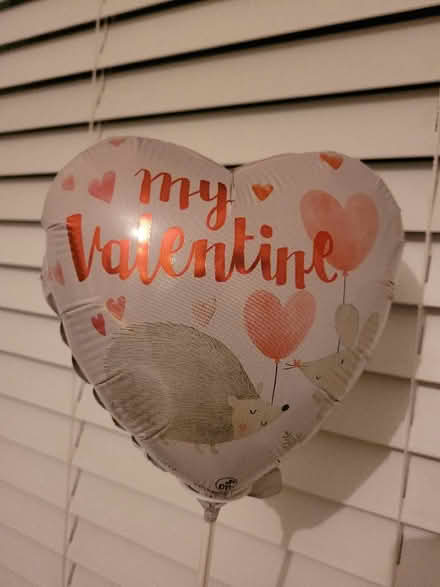 Photo of free Balloon (Bridge of Allan FK9) #2