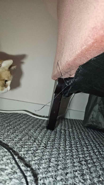 Photo of free Pink chair (Telscombe/Peacehaven BN10) #4