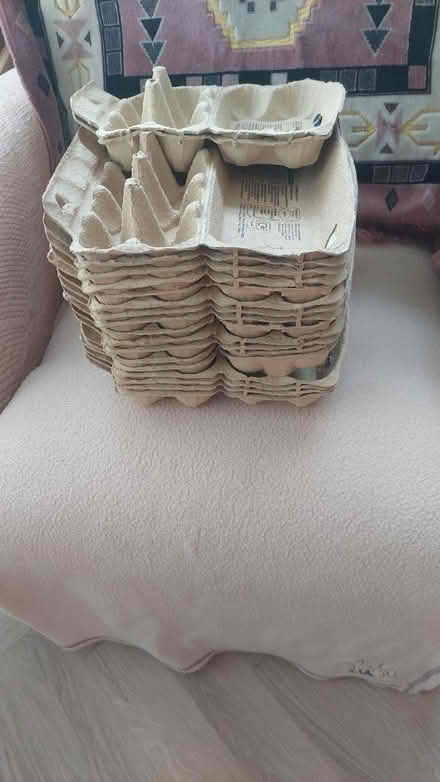 Photo of free Egg boxes (Trentham Stoke-on-Trent ST4) #2