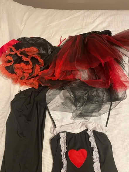 Photo of free Women’s Halloween costume (Witton Gilbert DH7) #2