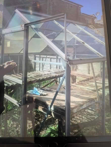 Photo of free Greenhouse (Southend SS1) #1