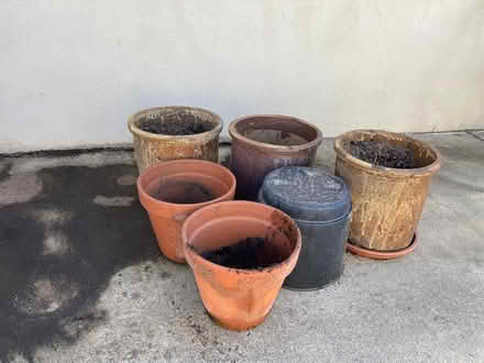 Photo of free various plant pots (bet Hodencamp & Hillcrest) #2