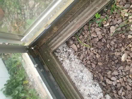 Photo of free Greenhouse (North Somerset BS8) #2