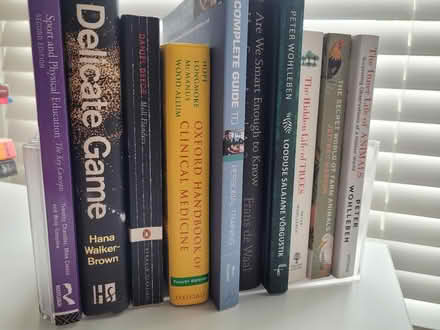 Photo of free 2 sets of IKEA book stoppers (Bridge of Allan FK9) #4