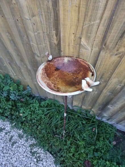 Photo of free Bird feeder (headington OX3) #2