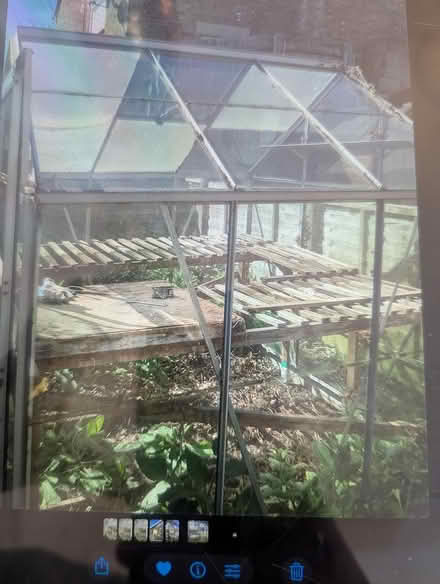 Photo of free Greenhouse (Southend SS1) #3