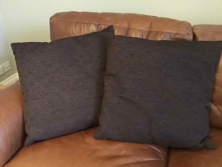 Photo of free Cushions (Berkhamsted HP4) #1