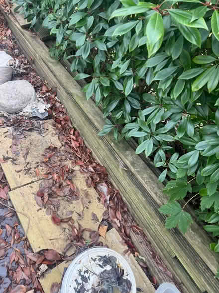 Photo of free Old deck boards (Pagham PO21) #2