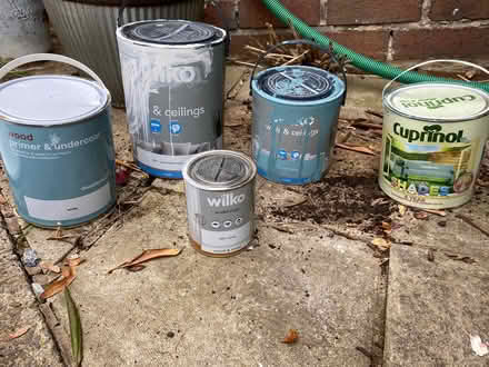 Photo of free Paint (Stacey Bank S6) #1