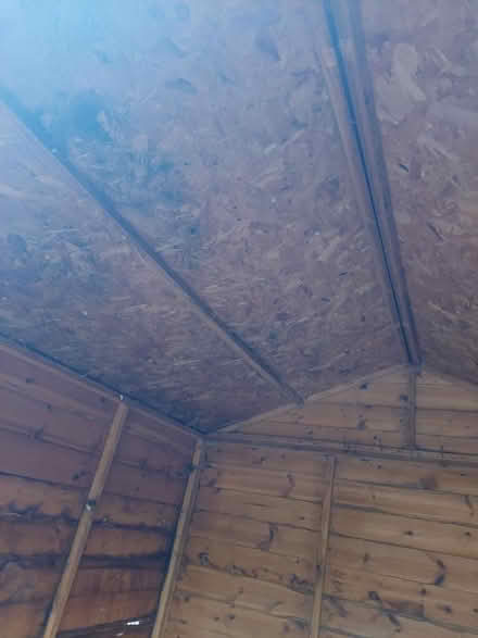 Photo of free Shed (S5 sheffield lane top) #4