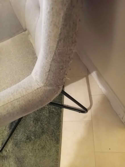 Photo of free 2 grey armchairs (MK41) #2