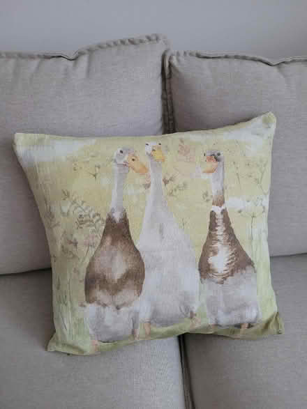 Photo of free Decorative pillow (Bridge of Allan FK9) #1