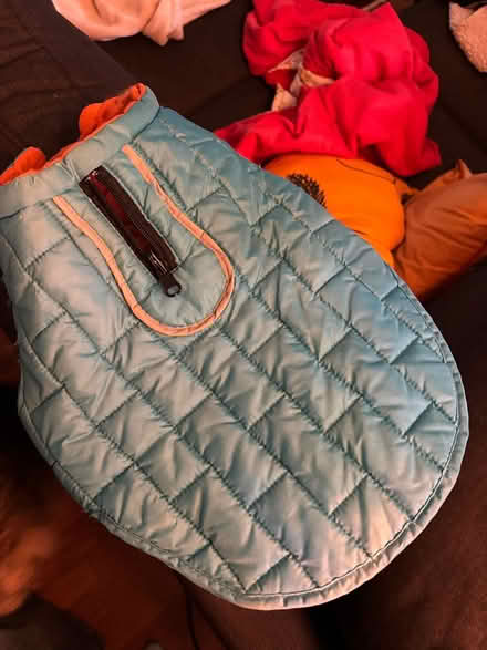 Photo of free Small dog puffer coat (Shoreline) #1